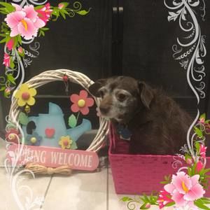 Meet your Posher, Shelly